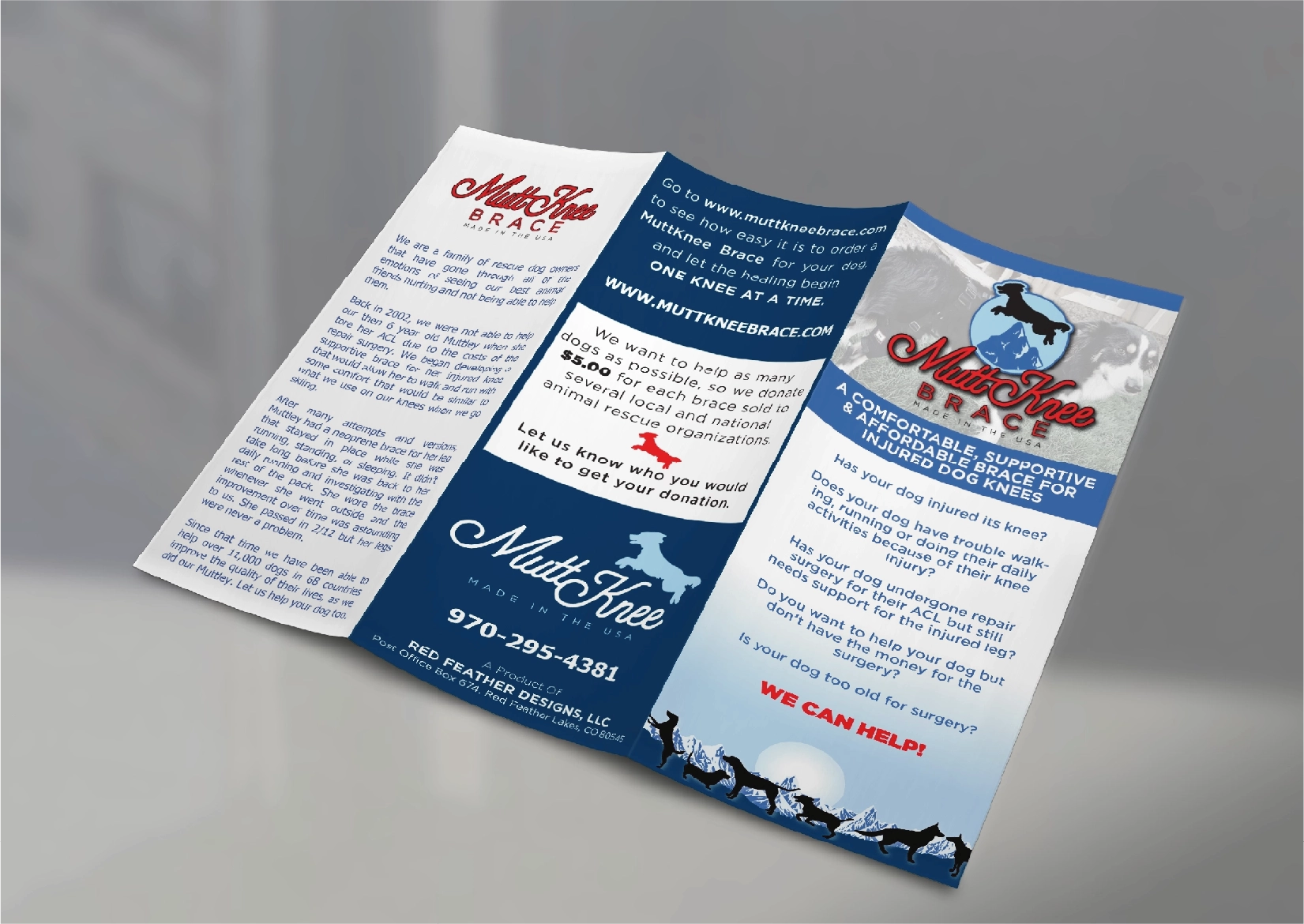 Trifold Brochures